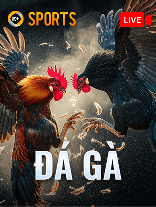 ONE88 Đá Gà K-Sports