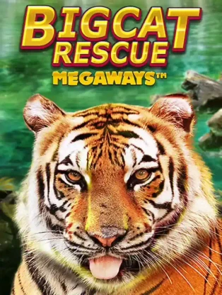ONE88 Big Cat Rescue Megaways